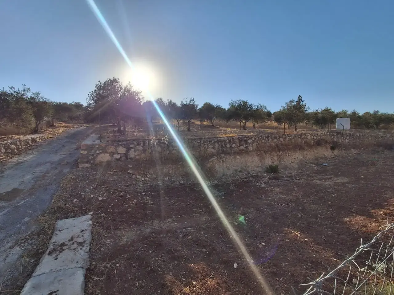 Land for sale in Jala'd – photo 10