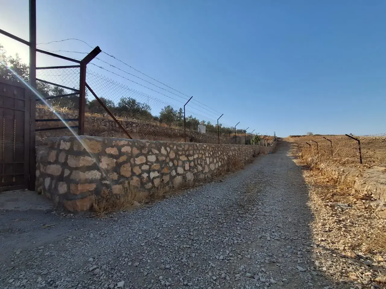 Land for sale in Jala'd – photo 7