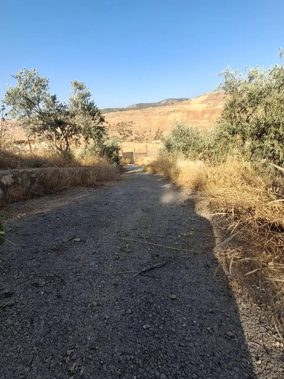 Land for sale in Jala'd – photo 4