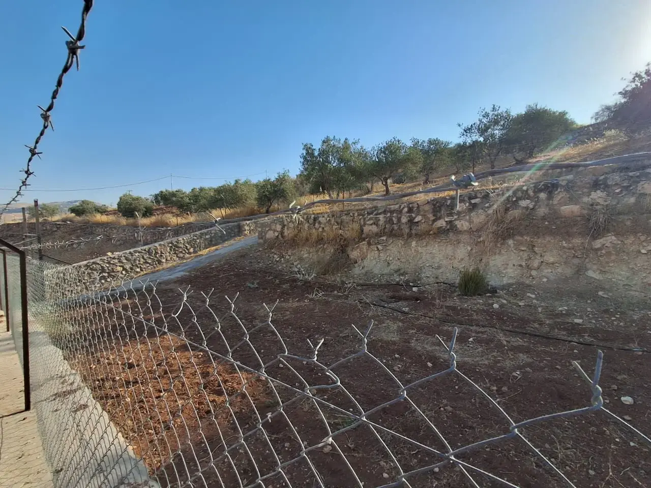 Land for sale in Jala'd – photo 6