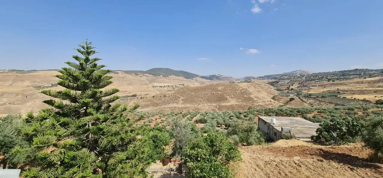 Land for sale in Jala'd – photo 5