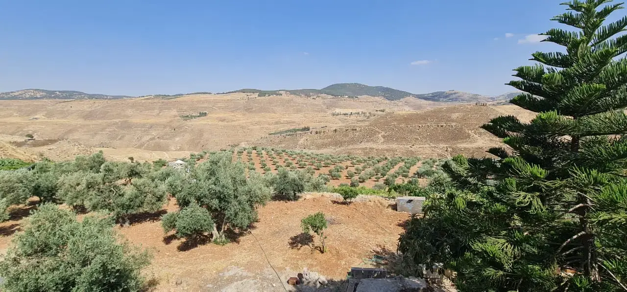 Land for sale in Jala'd – photo 2