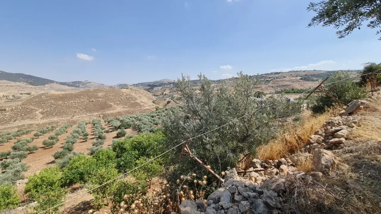 Land for sale in Jala'd – photo 3