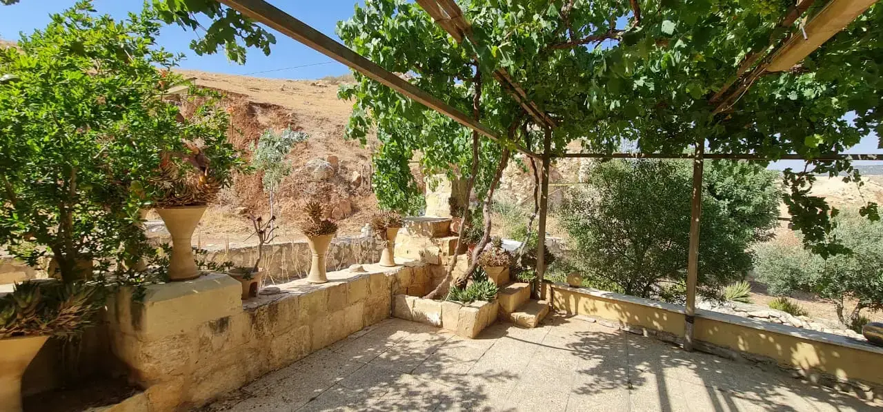 Land for sale in Jala'd – photo 11