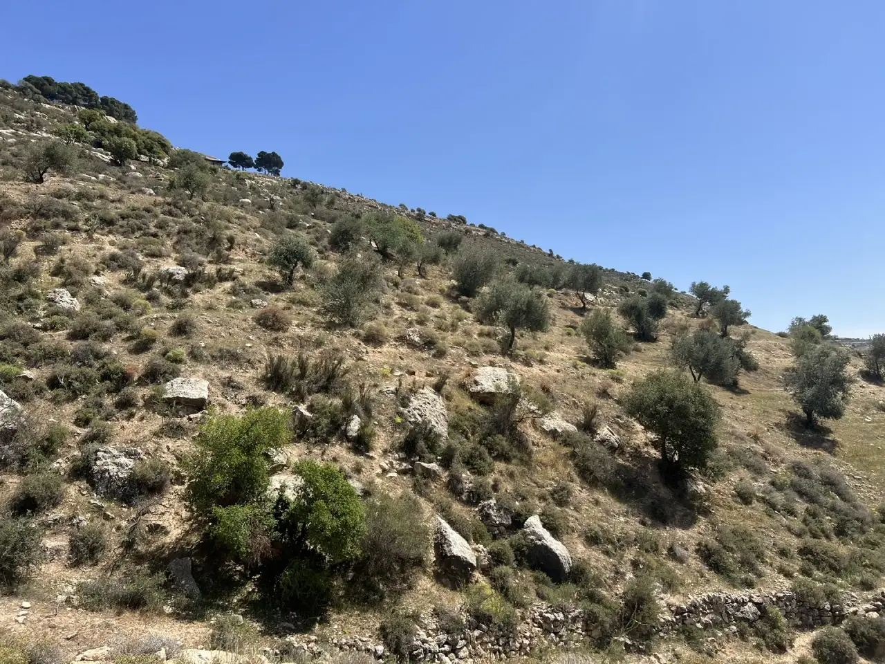 Land for sale in Al Maghareeb – photo 7