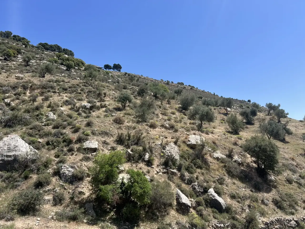 Land for sale in Al Maghareeb – photo 8