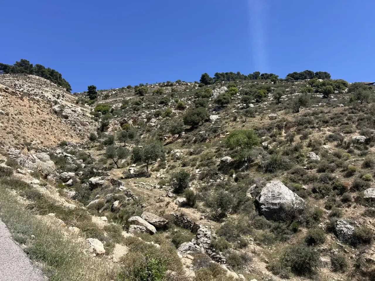 Land for sale in Al Maghareeb – photo 10