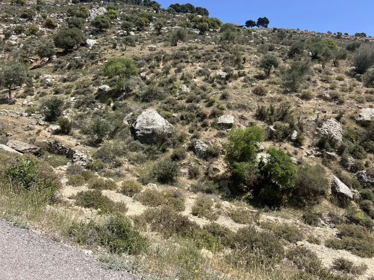 Land for sale in Al Maghareeb – photo 4