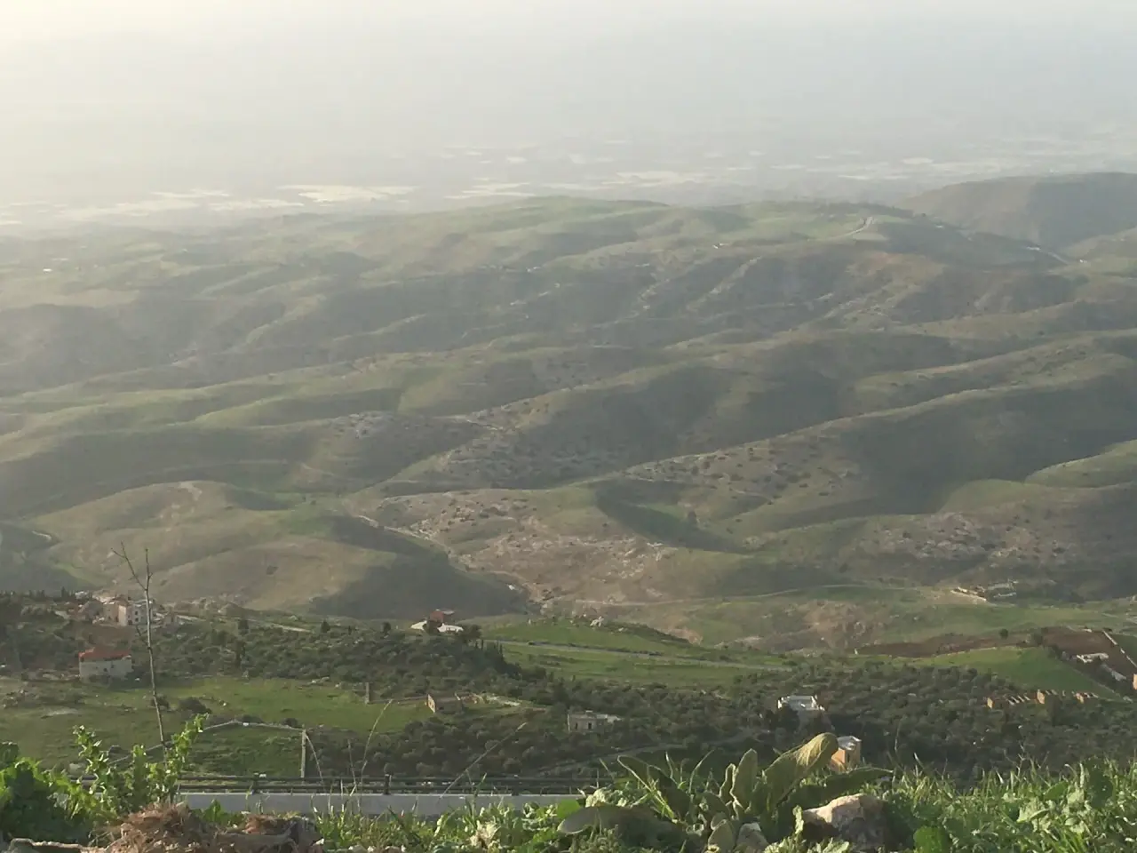 Land for sale in Al Maghareeb – photo 2