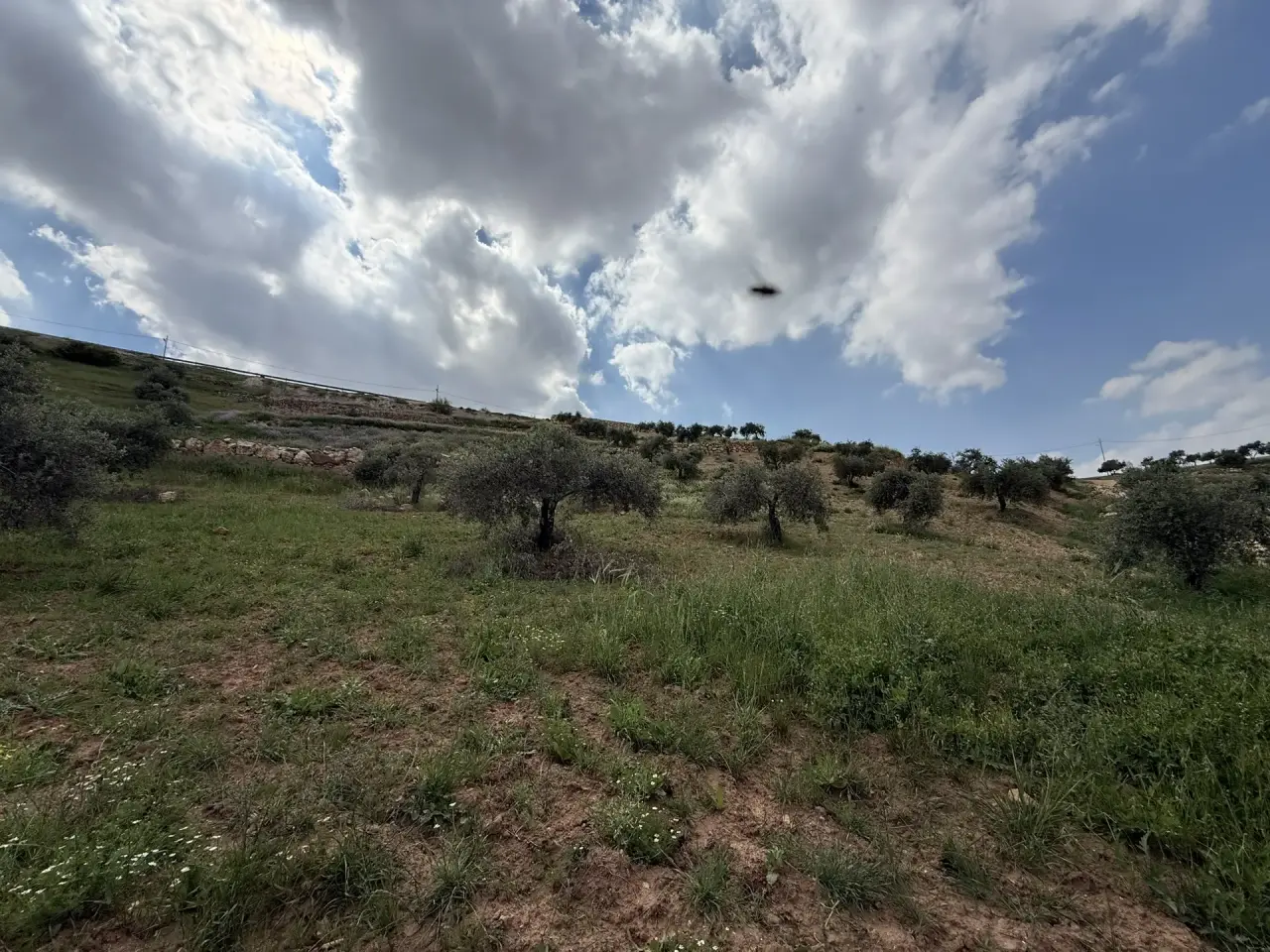 Land for sale in Seehan – photo 12