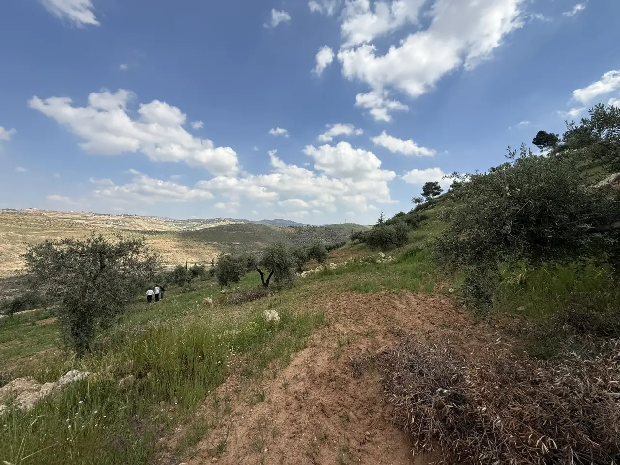 Land for sale in Seehan – photo 7