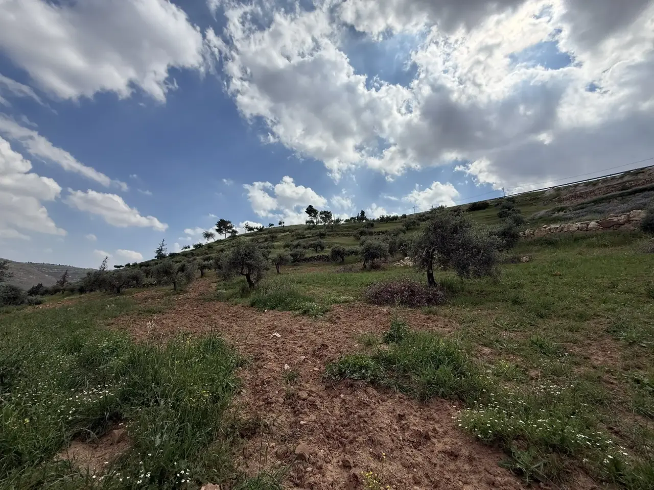 Land for sale in Seehan – photo 5