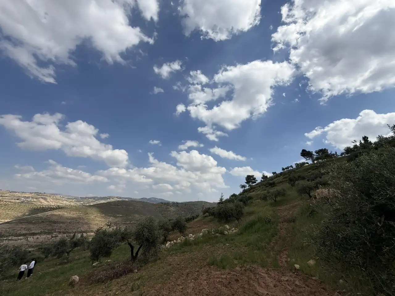 Land for sale in Seehan – photo 11