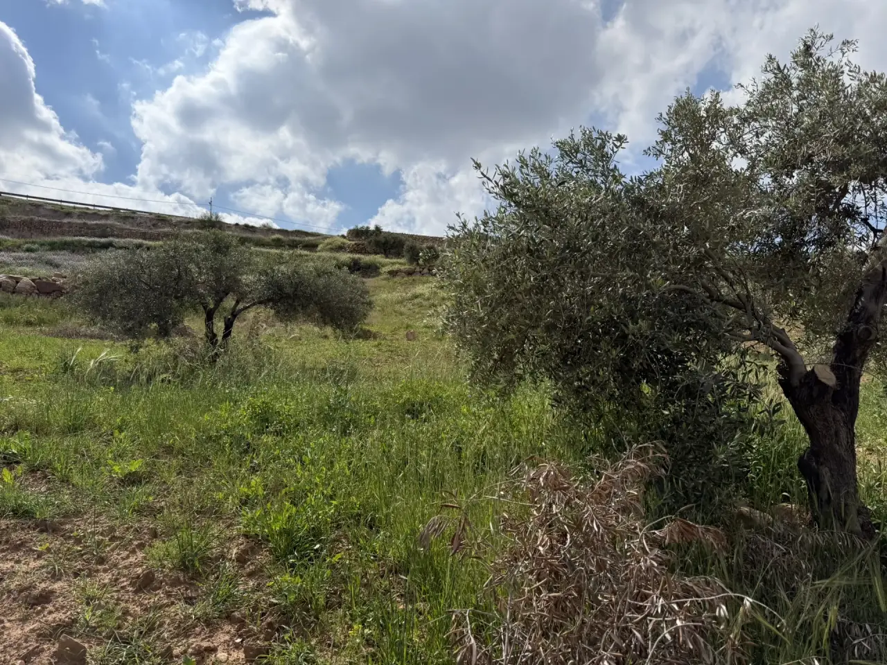 Land for sale in Seehan – photo 10