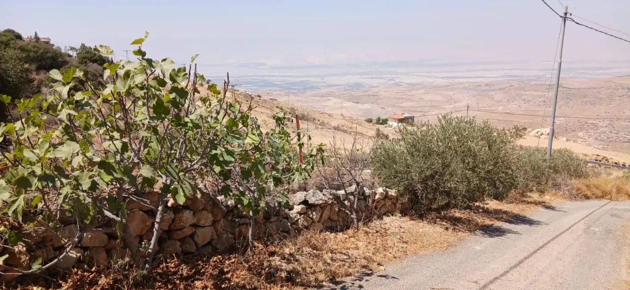 Land for sale in Kafr Hooda – photo 6