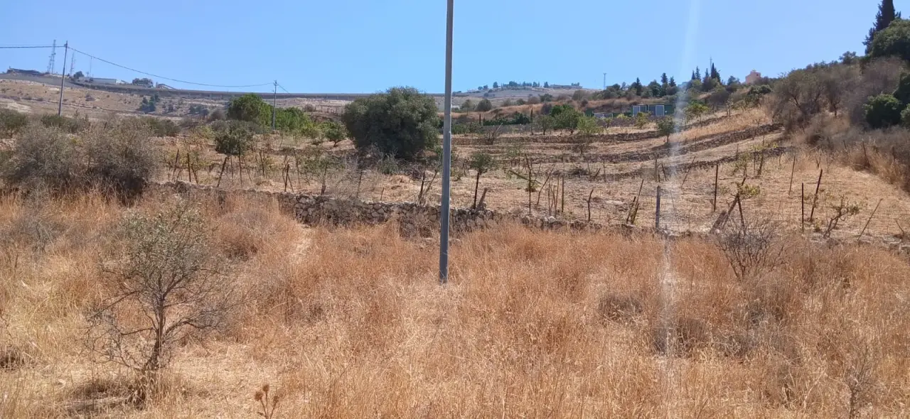 Land for sale in Kafr Hooda – photo 4