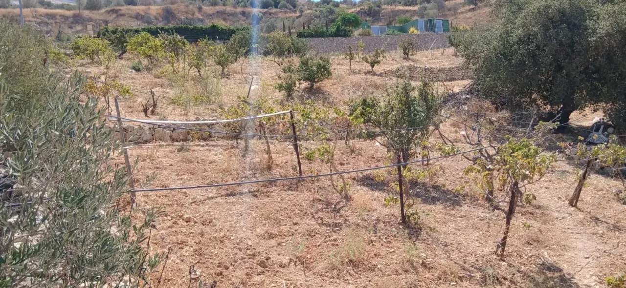 Vineyard with a well in Kafr Hooda, Salt: 4,791 m², fenced, on two streets