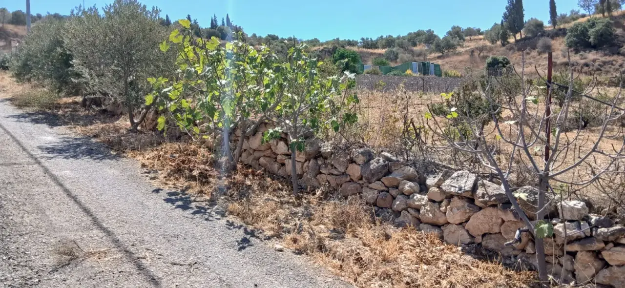 Land for sale in Kafr Hooda – photo 5