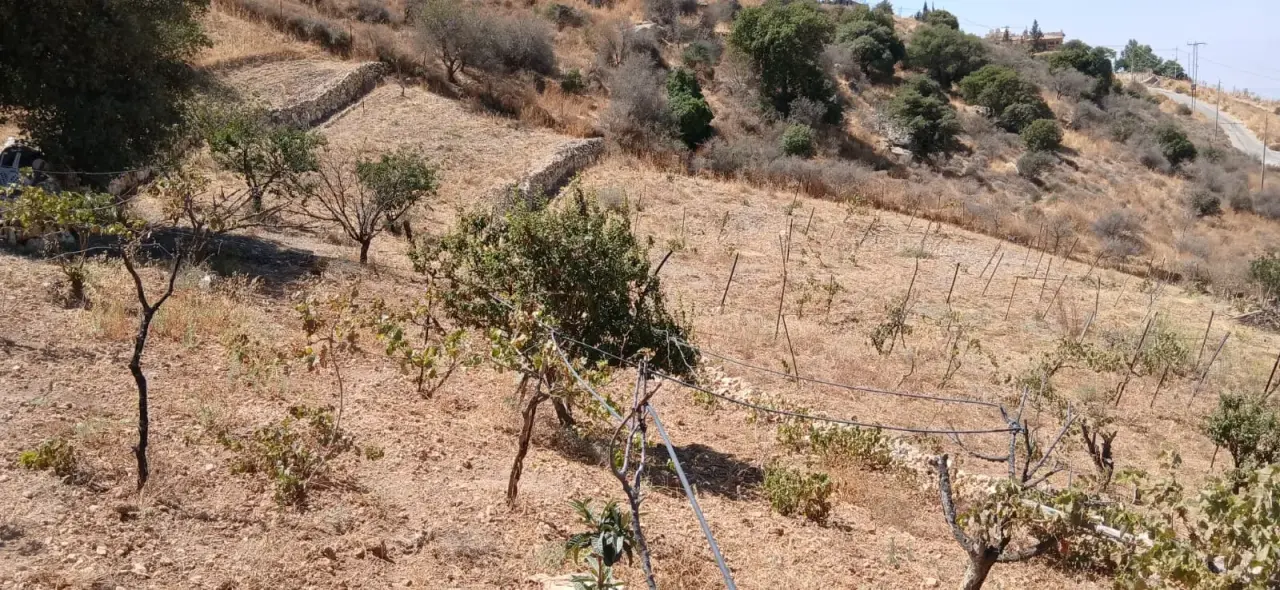 Land for sale in Kafr Hooda – photo 2