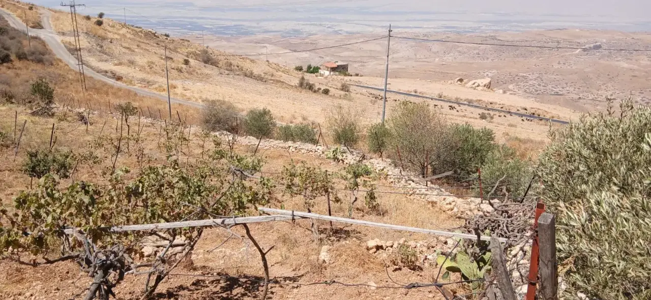 Land for sale in Kafr Hooda – photo 7