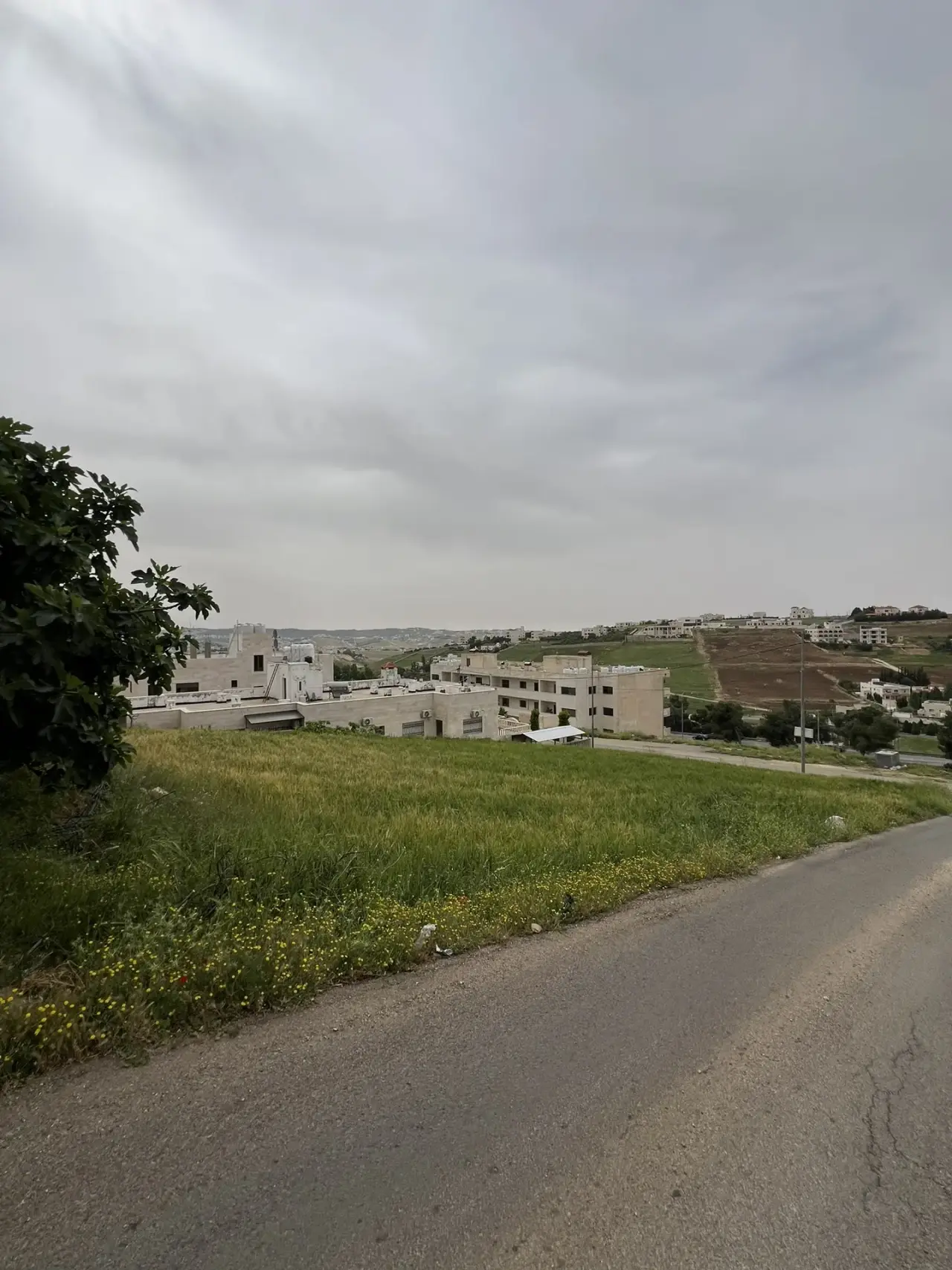 Land for sale in Al Zohour – photo 5