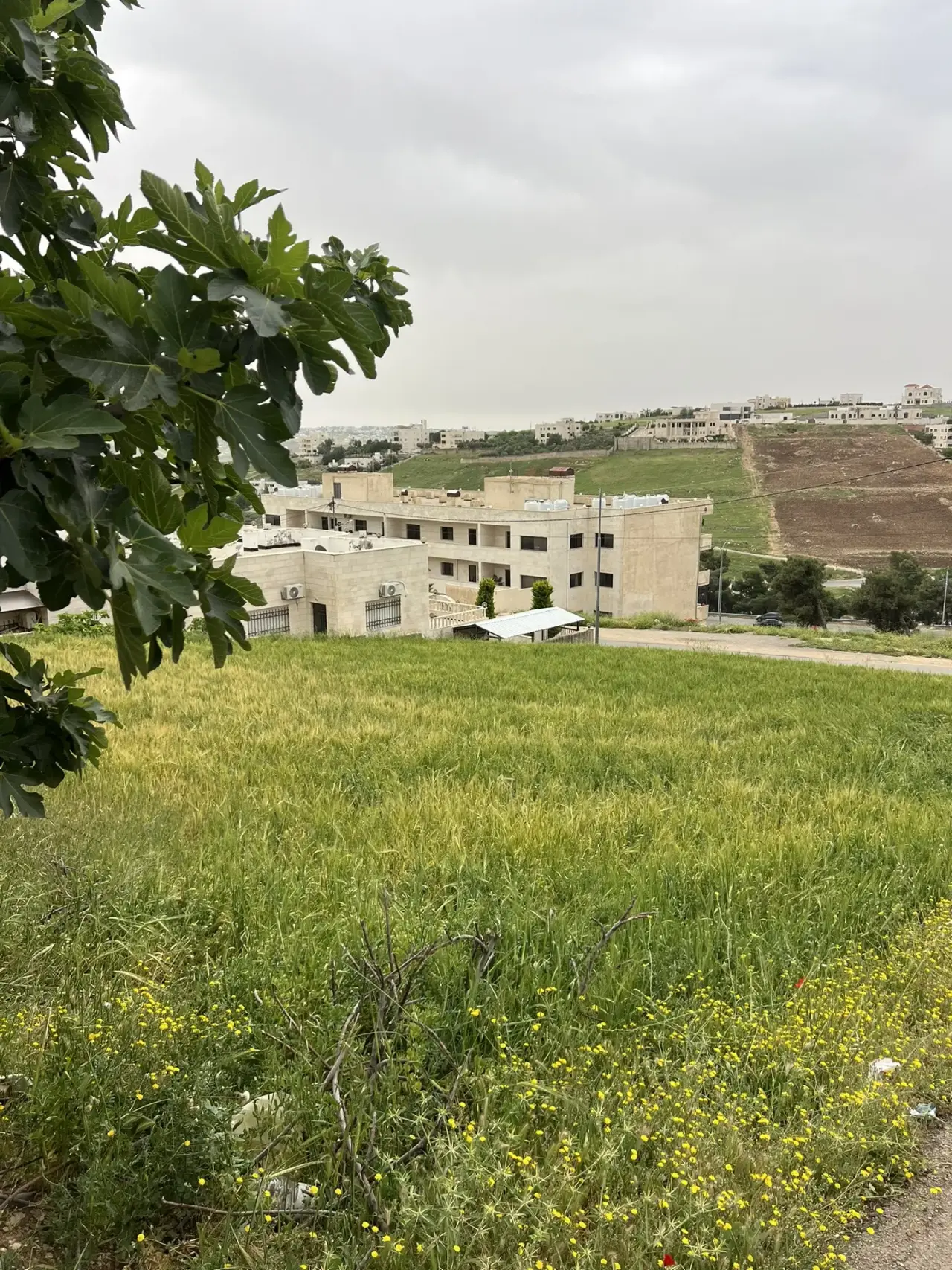Land for sale in Al Zohour – photo 7