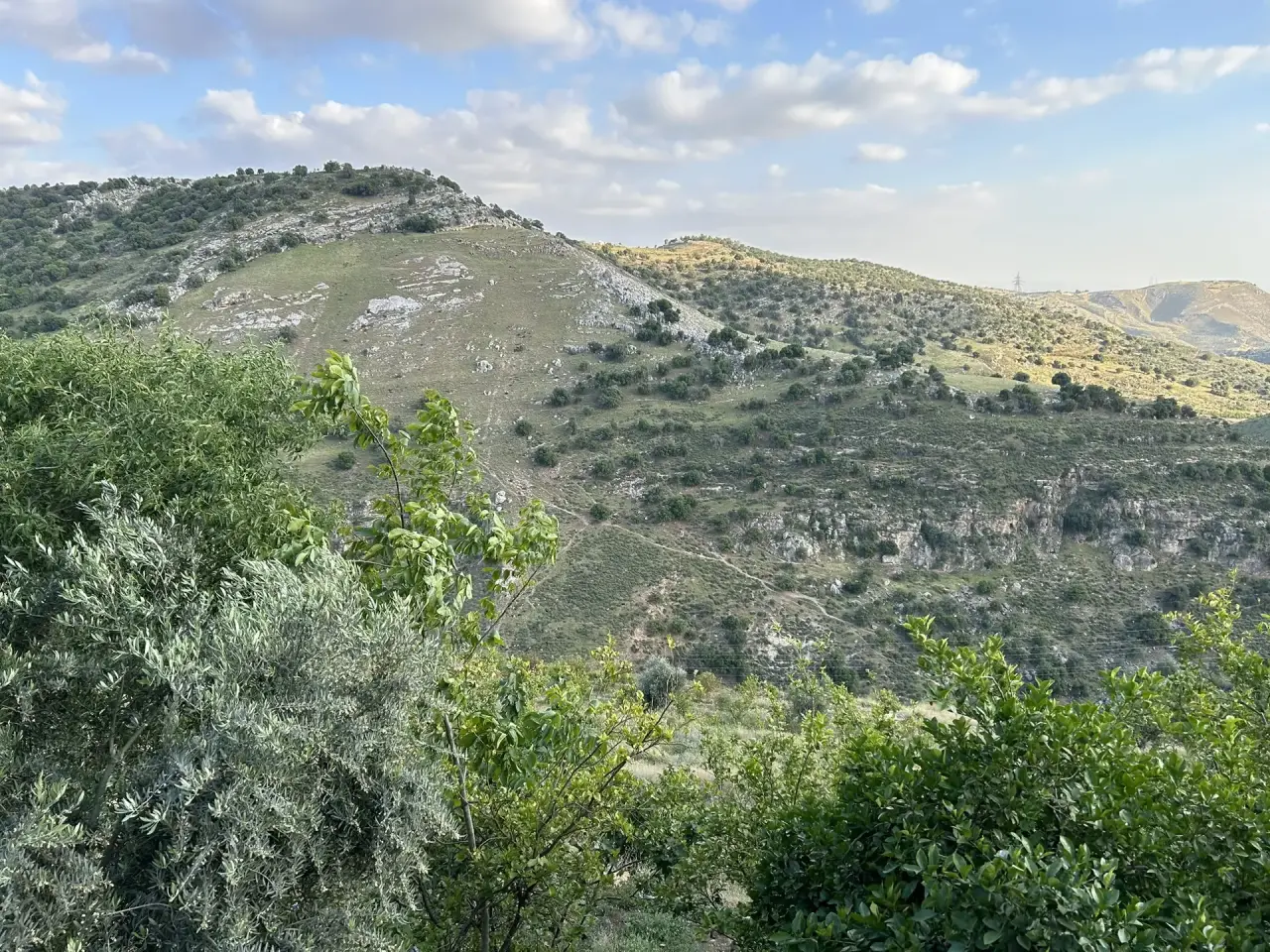 Land for sale in Wadi Shua'ib – photo 12