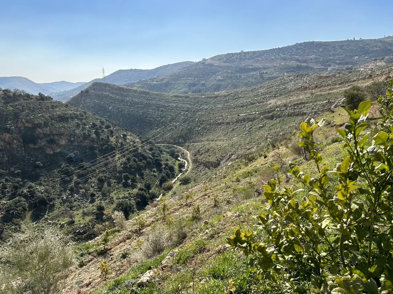 Land for sale in Wadi Shua'ib – photo 8