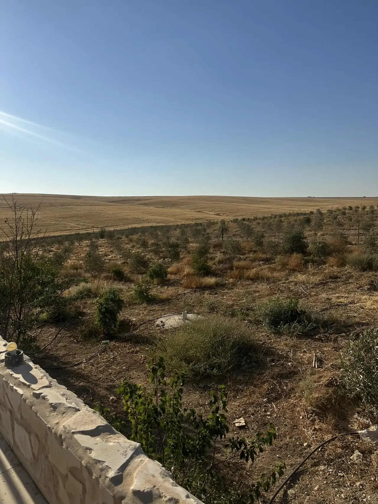 Land for sale in Thiban – photo 4