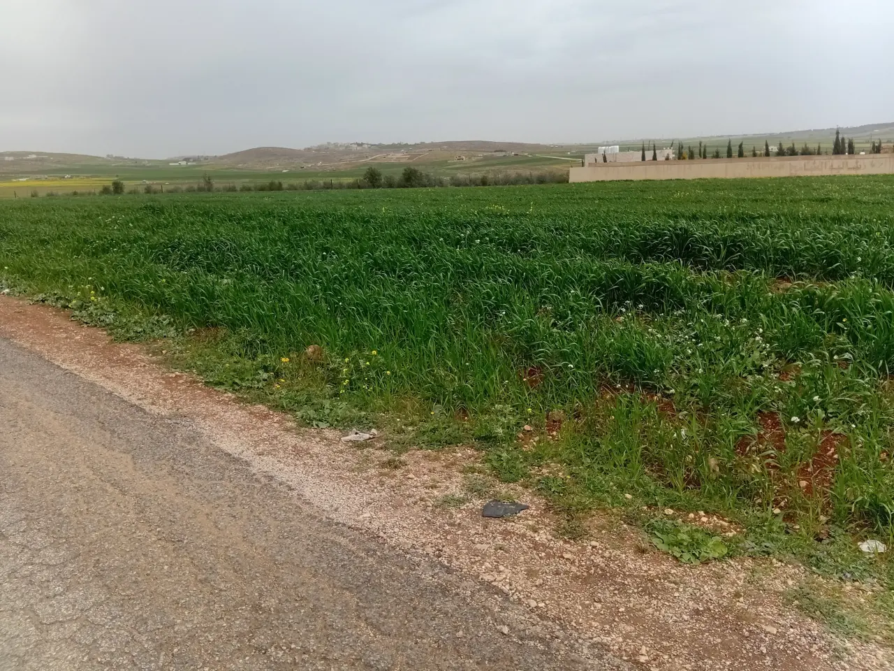 أرض للبيع في Mai'n – صورة 7