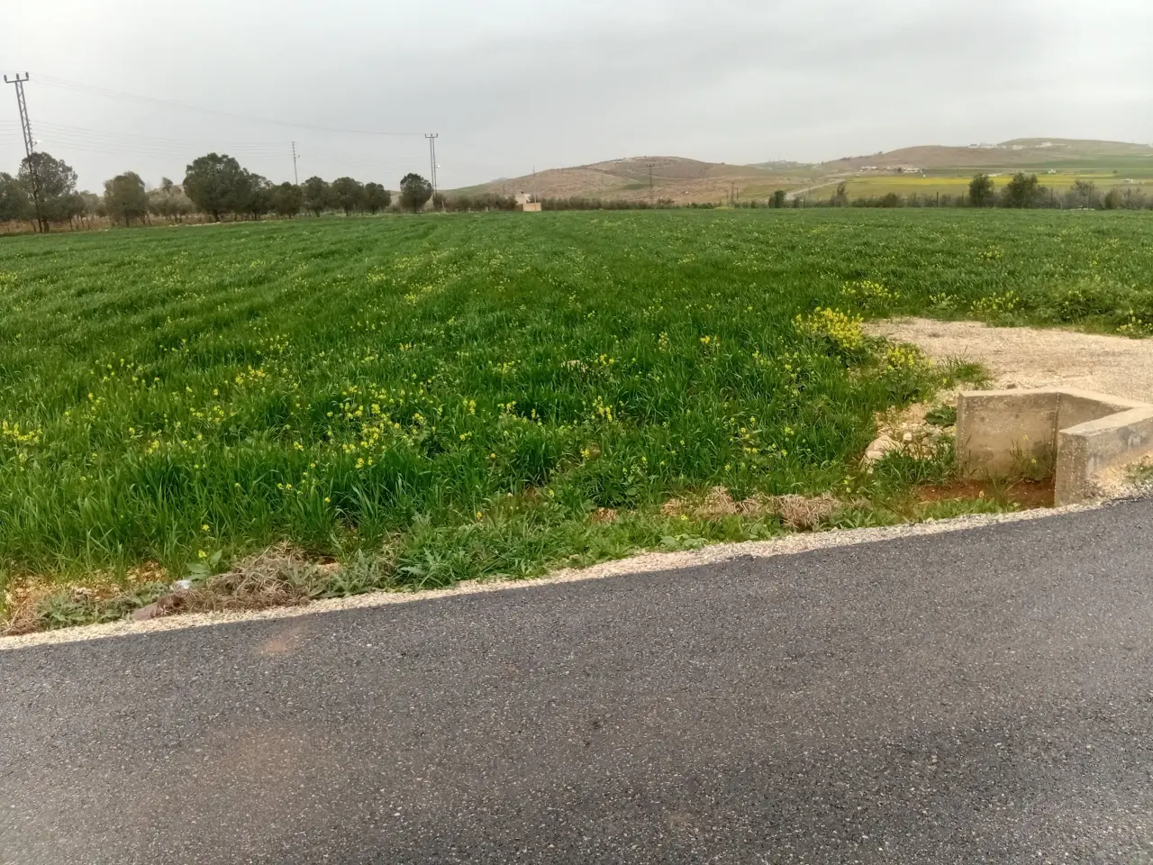 أرض للبيع في Mai'n – صورة 2