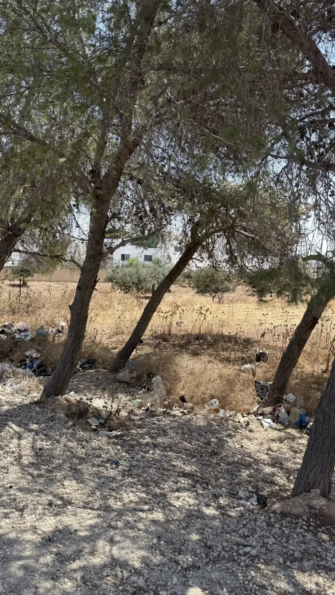Land for sale in Madaba Center – photo 6