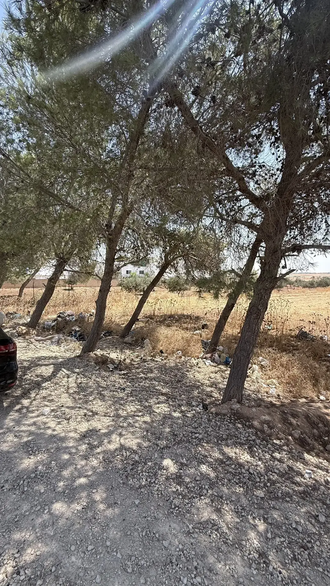 Land for sale in Madaba Center – photo 7