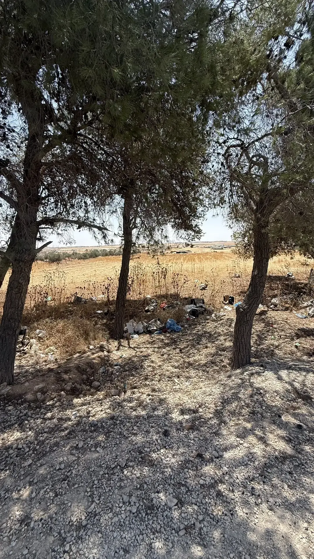 Land for sale in Madaba Center – photo 9