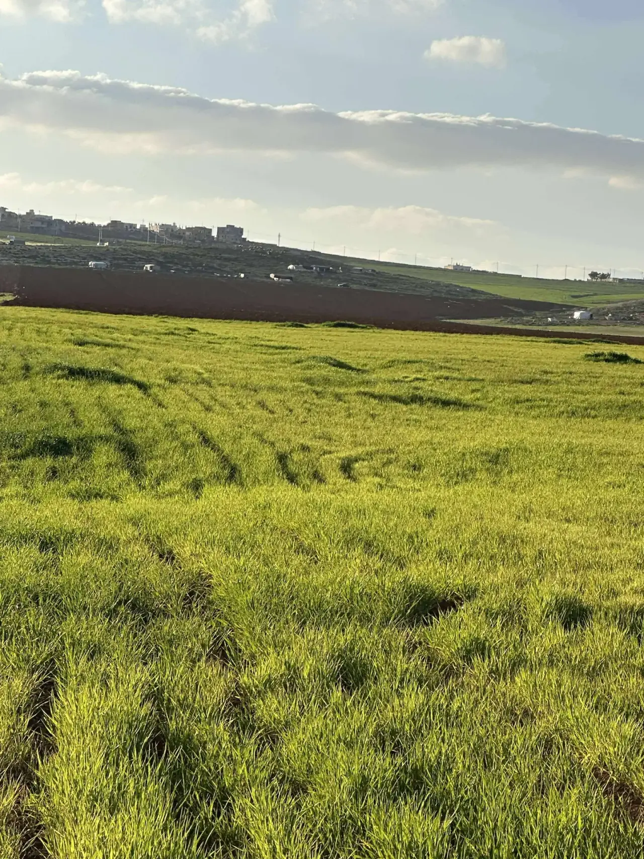 Land for sale in Madaba Center – photo 3