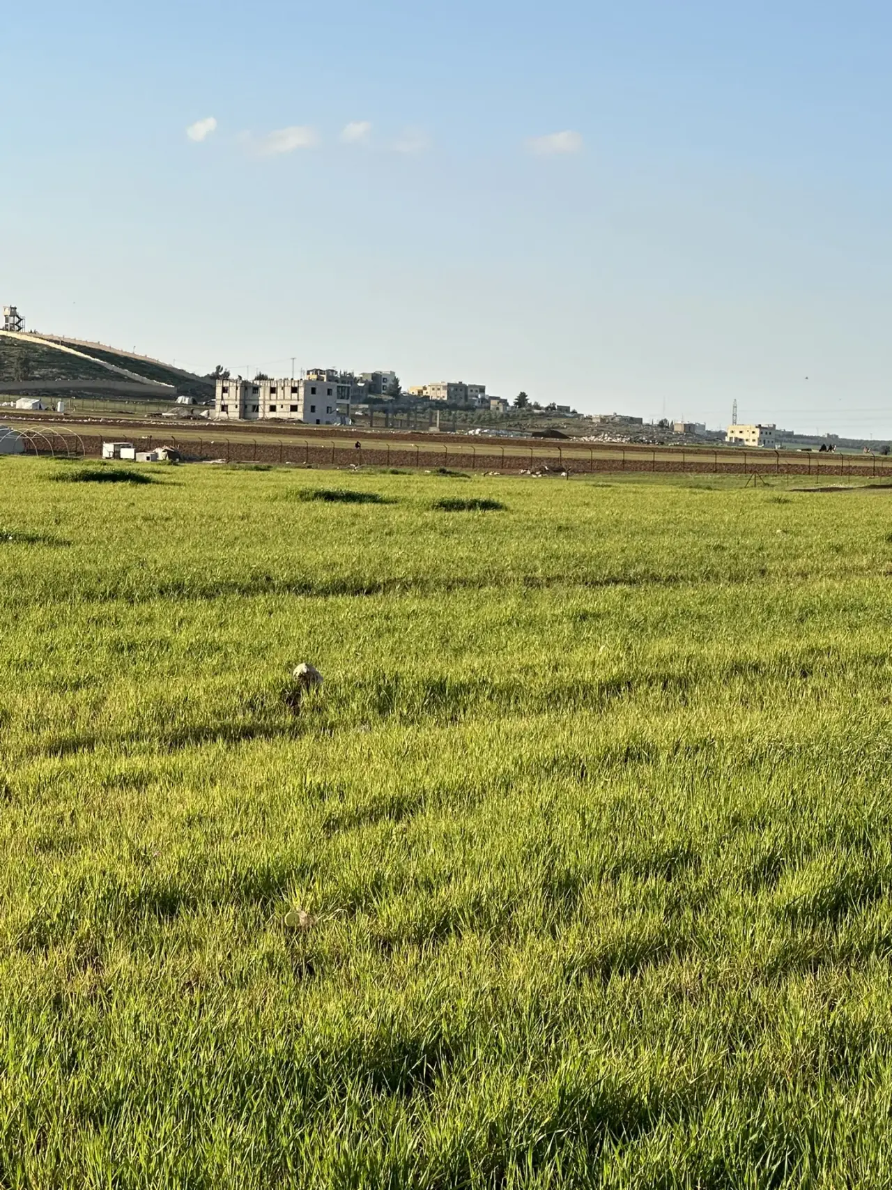 Land for sale in Madaba Center – photo 2