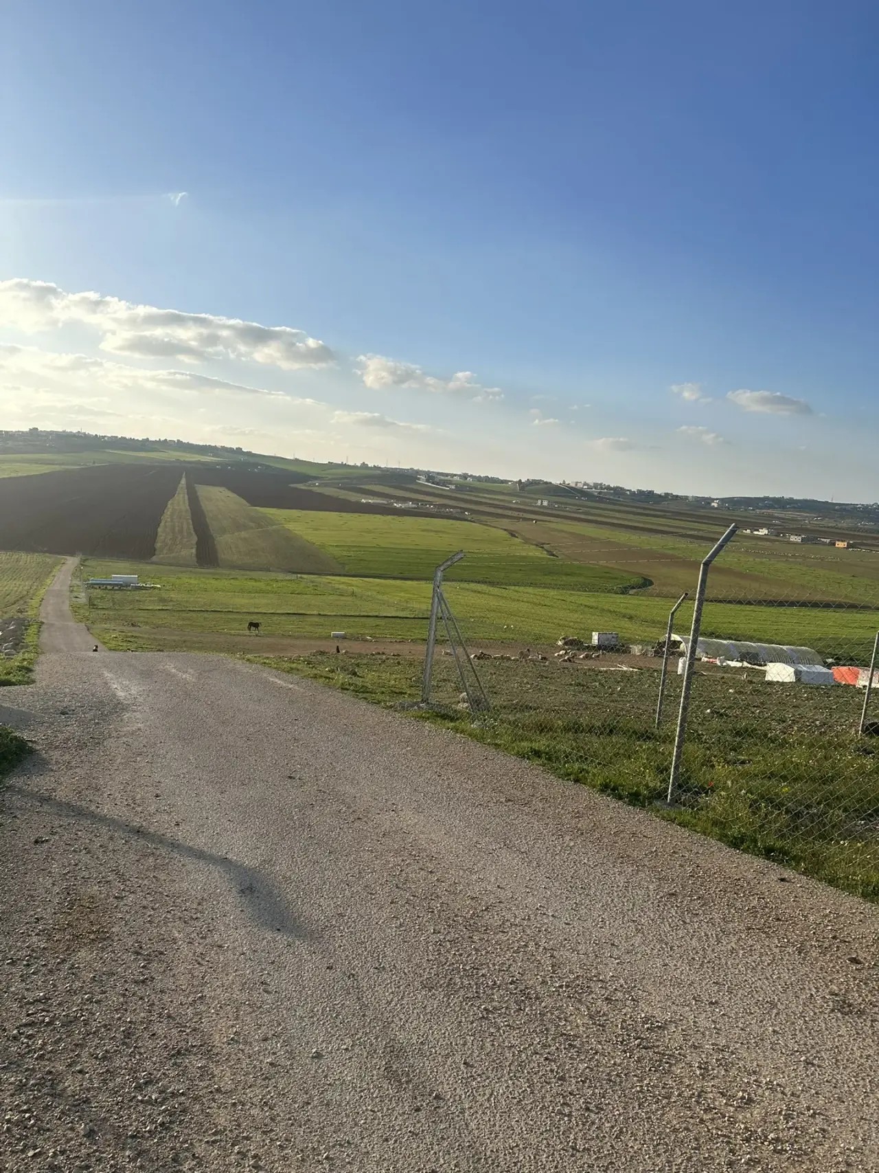 Land for sale in Madaba Center – photo 5