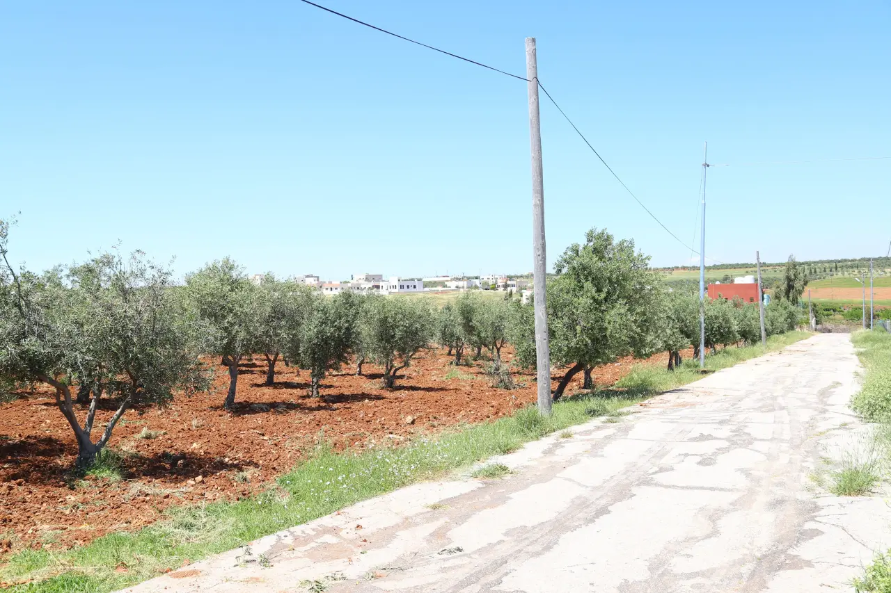 أرض للبيع في Al-Fayha' – صورة 2