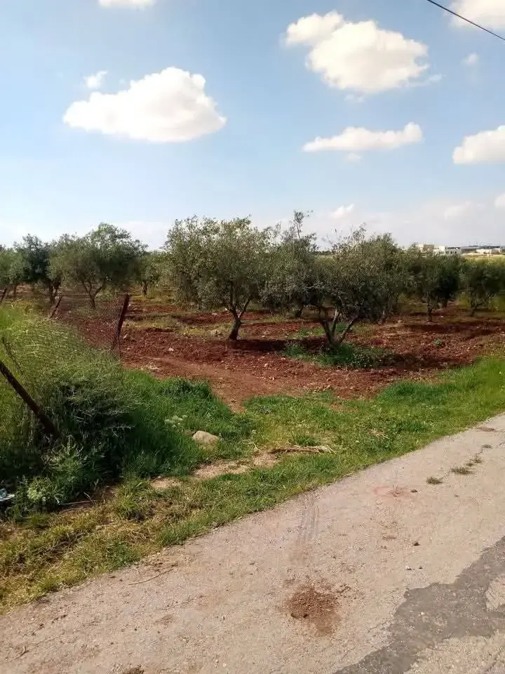 أرض للبيع في Al-Fayha' – صورة 7