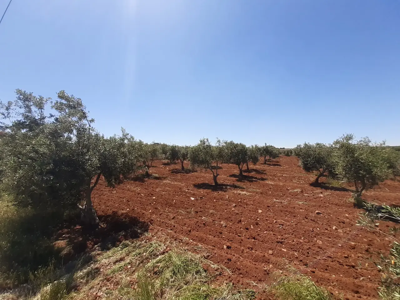 أرض للبيع في Al-Fayha' – صورة 5