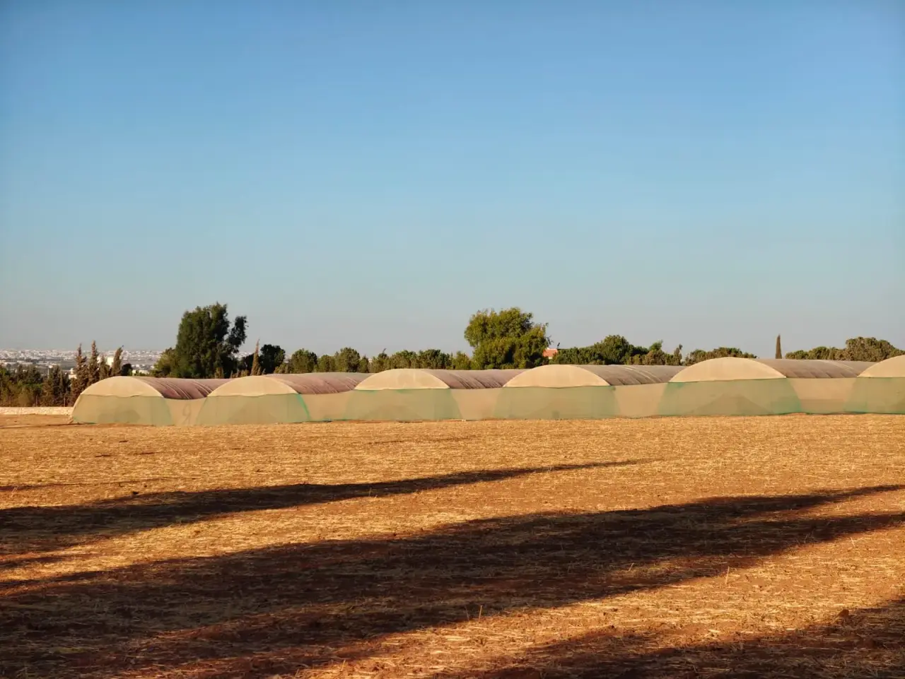 Land for sale in Manja – photo 6