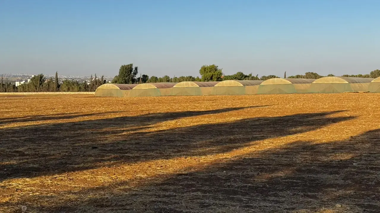 Land for sale in Manja – photo 2