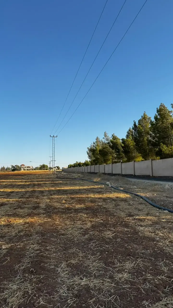 Land for sale in Manja – photo 3
