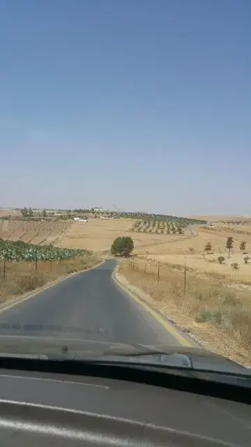 أرض للبيع في lob – صورة 4