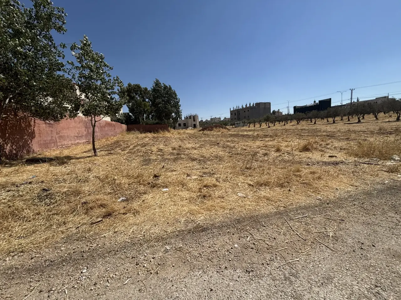 Land for sale in Juraynah – photo 2