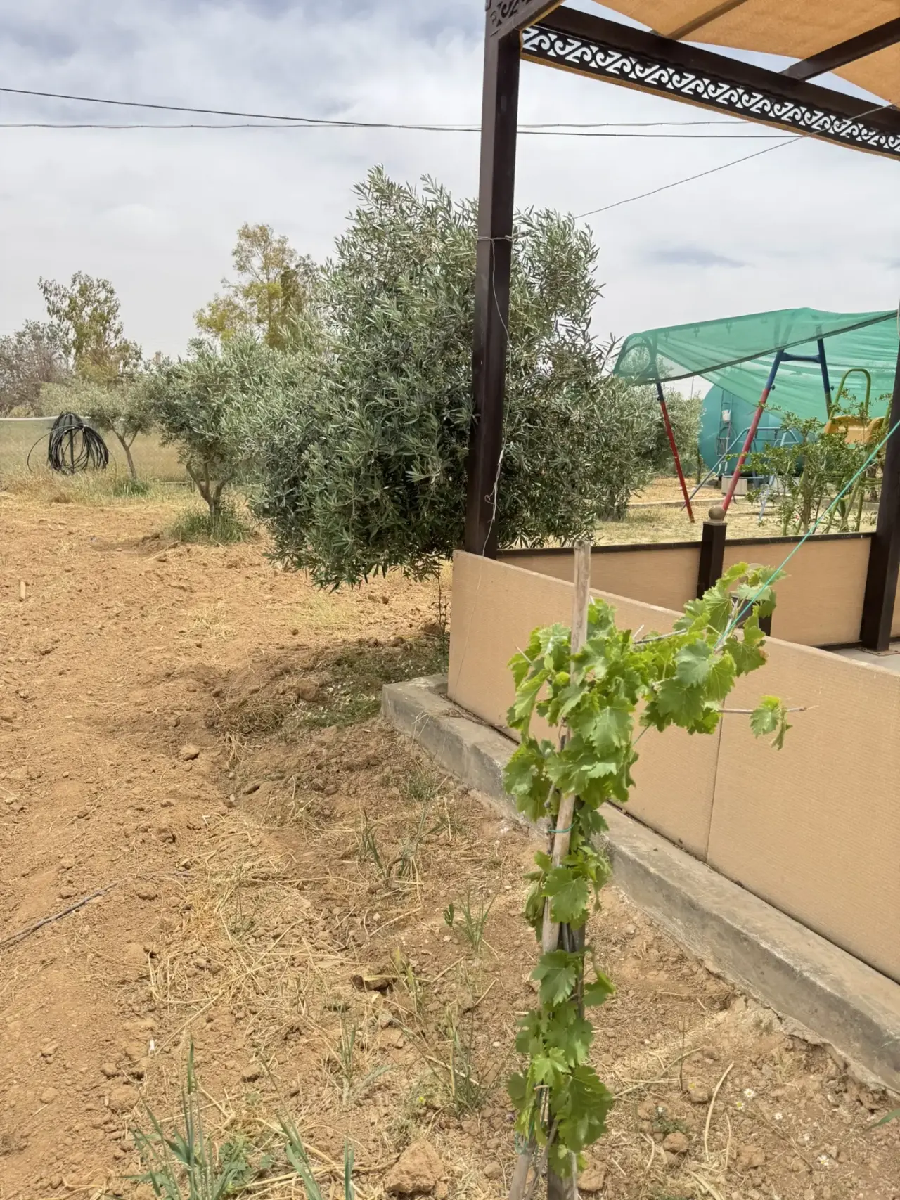 Land for sale in Dalilet Al-Hamaideh – photo 5
