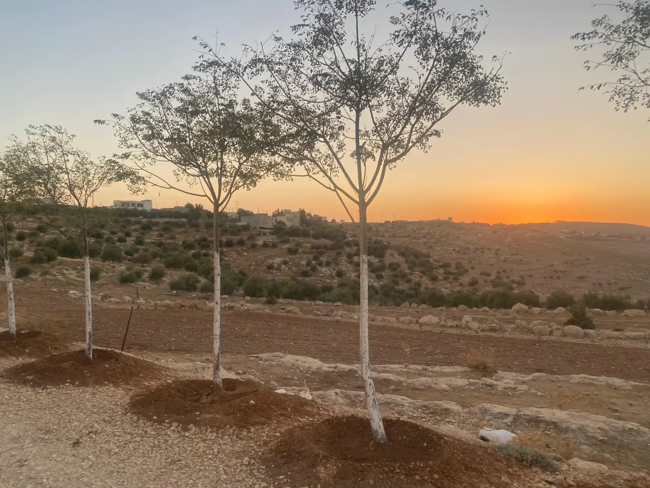 Rawabi Madaba project, Mkawer: 750 m² Residential B plot with own title for 8,900 JOD