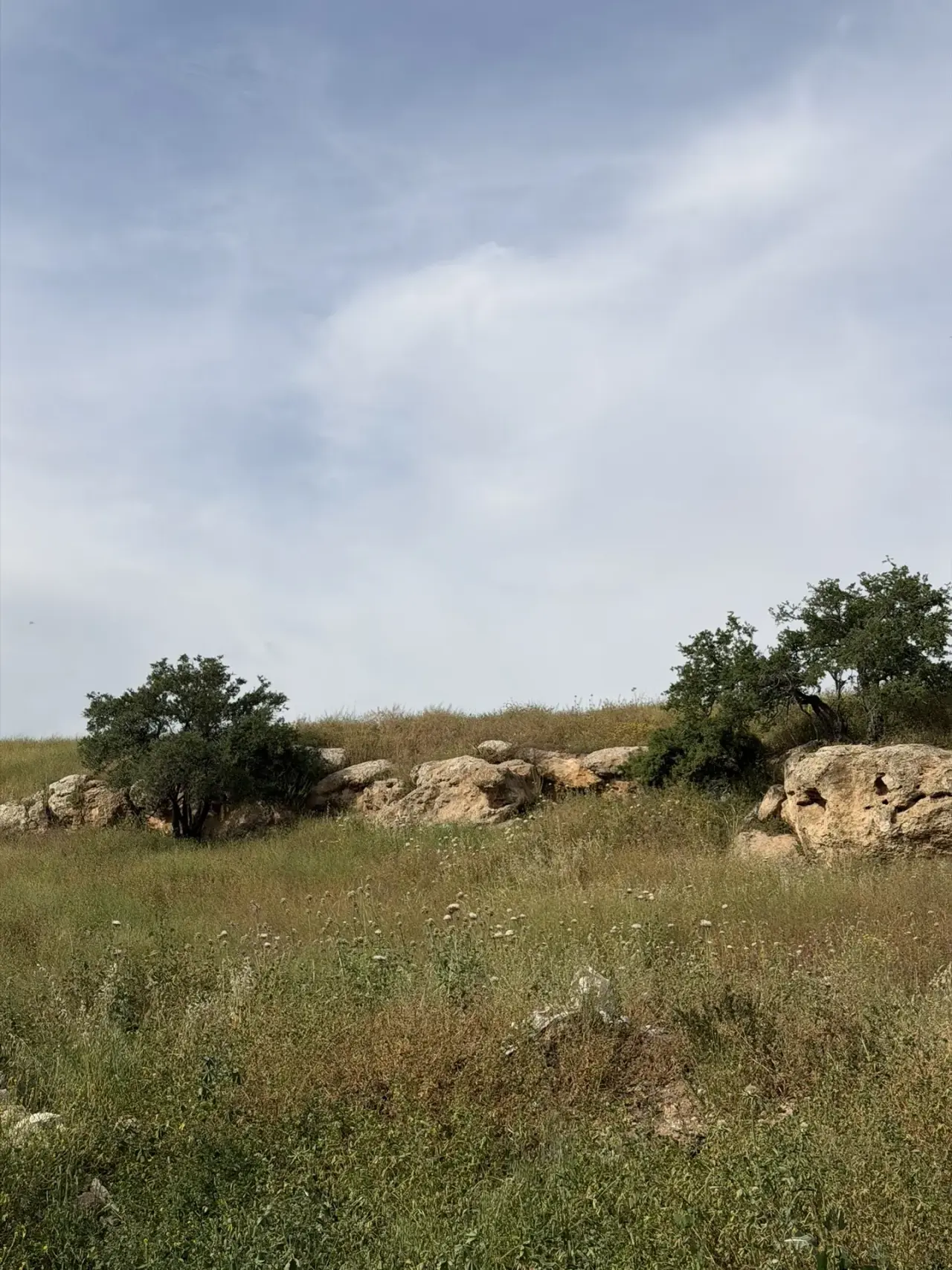 Land for sale in Other – photo 2