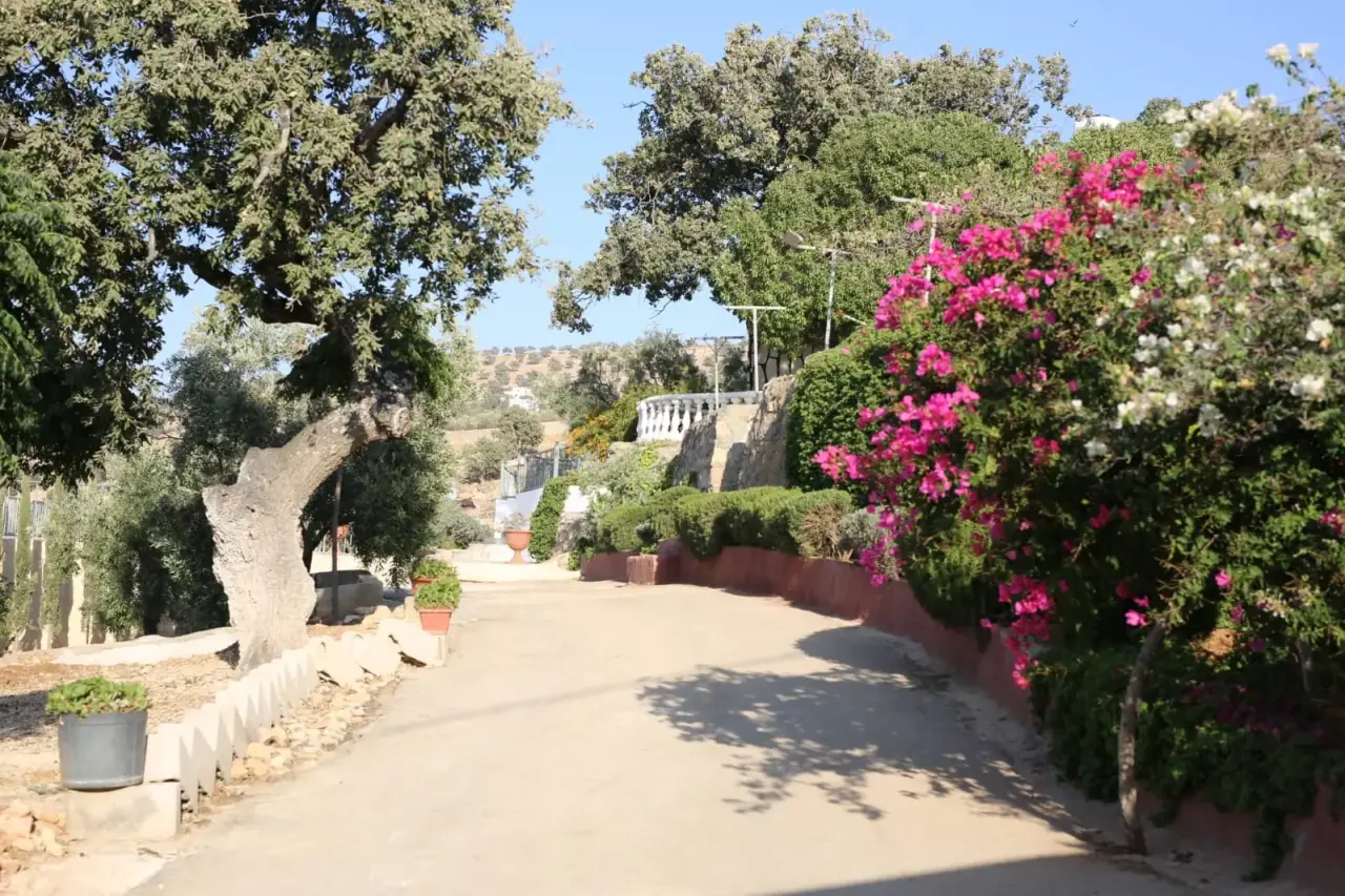 Land for sale in Al-Mastaba – photo 4
