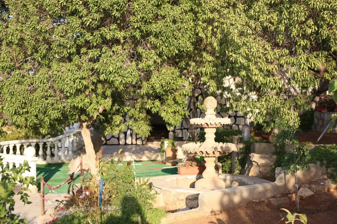 Land for sale in Al-Mastaba – photo 6